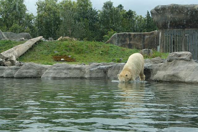 IMG 0223 800x533