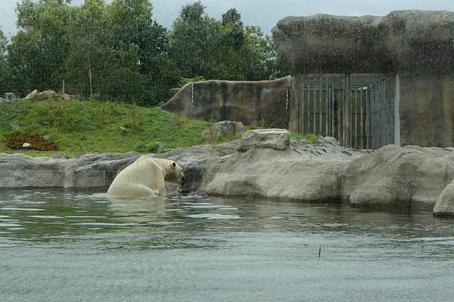 IMG 0226 800x533