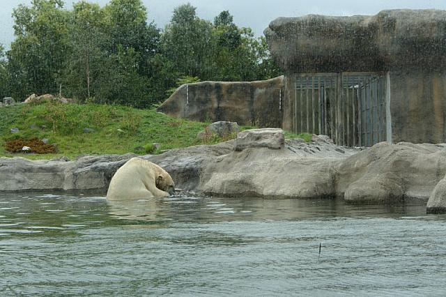 IMG 0228 800x533