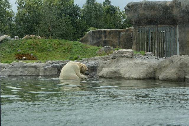 IMG 0229 800x533