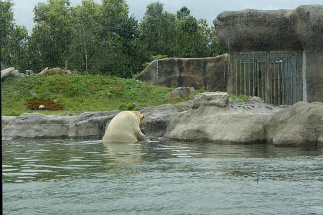 IMG 0230 800x533