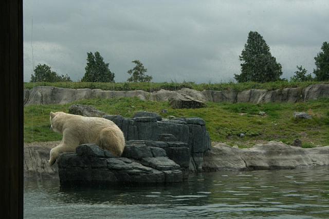 IMG 0232 800x533