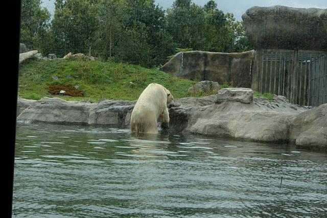 IMG 0234 800x533