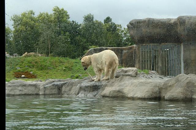 IMG 0239 800x533