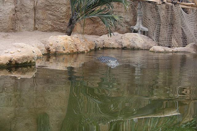 IMG 0440 800x533