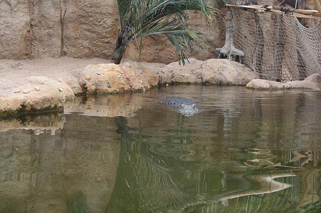 IMG 0441 800x533