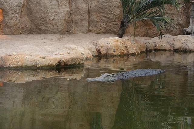 IMG 0443 800x533