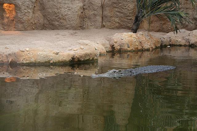 IMG 0444 800x533