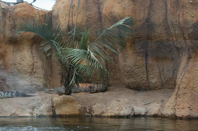 IMG 0454 800x533