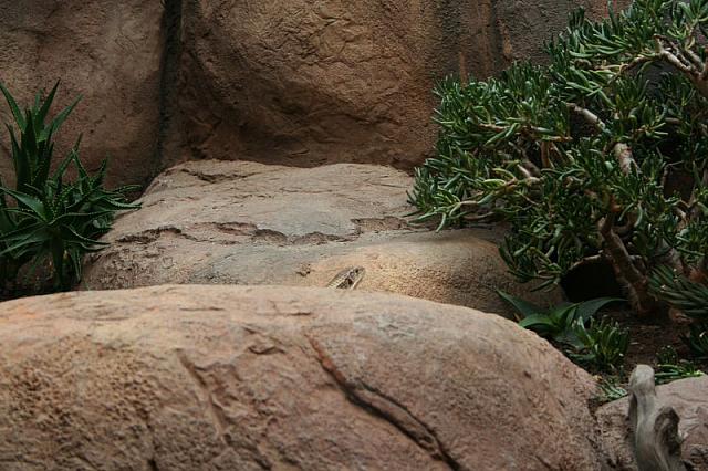 IMG 0458 800x533