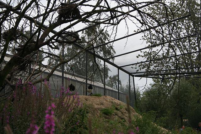 IMG 0473 800x533