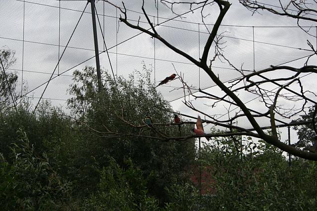 IMG 0478 800x533