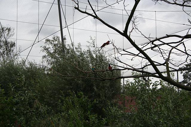 IMG 0479 800x533