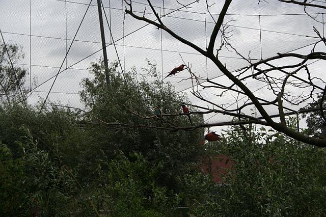 IMG 0480 800x533