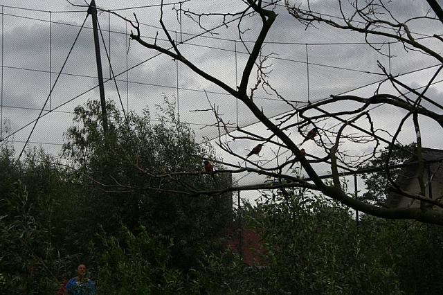 IMG 0481 800x533