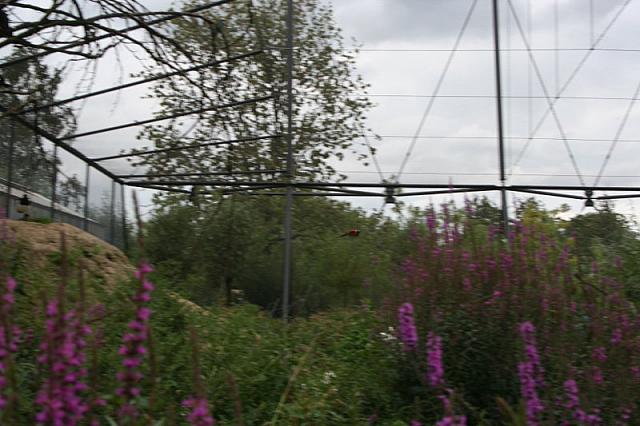 IMG 0486 800x533