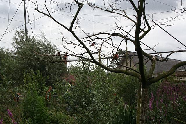 IMG 0487 800x533