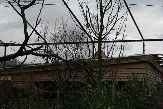 IMG 0488 800x533