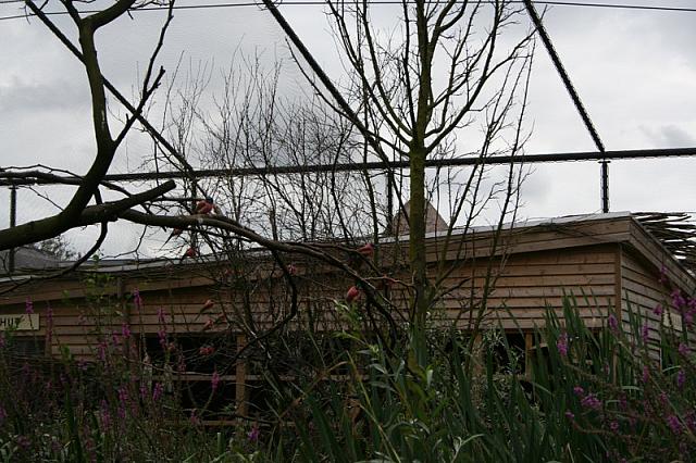IMG 0489 800x533