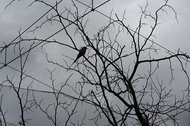 IMG 0492 800x533