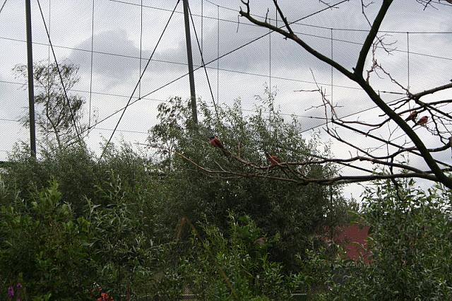 IMG 0494 800x533