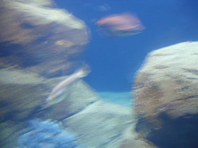 S6000001 800x600