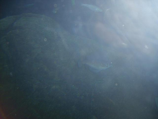 S6000002 800x600