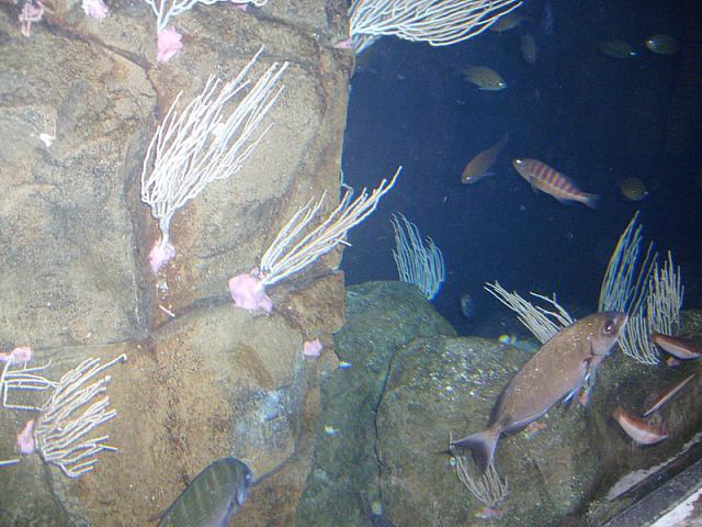 S6000004 800x600