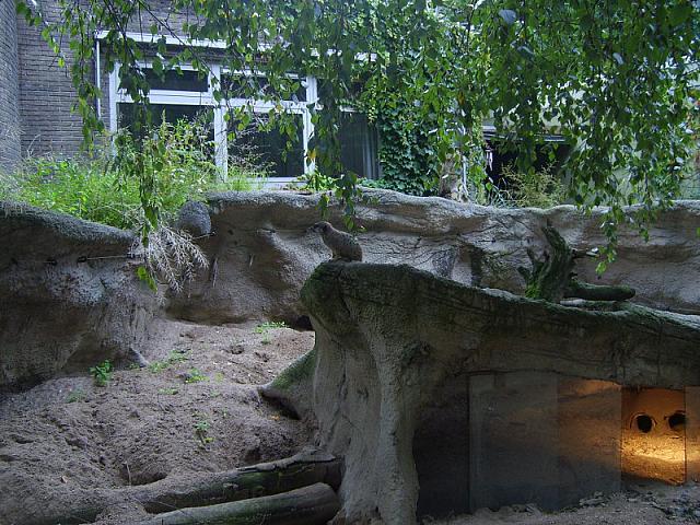 S6000034 800x600
