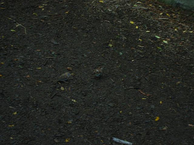 S6000039 800x600