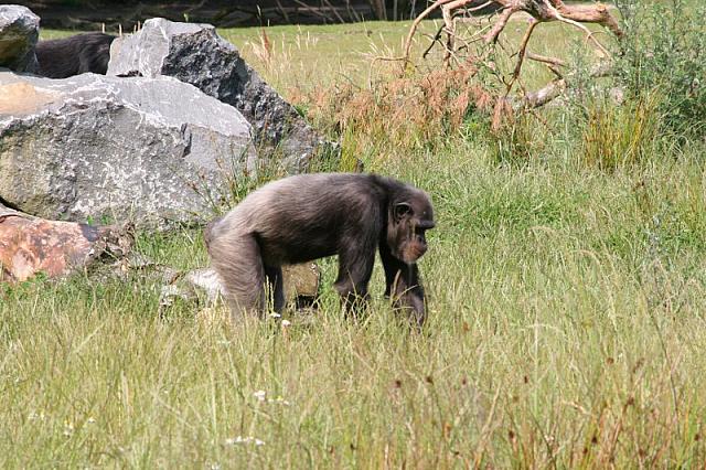 20090627 1 800x533