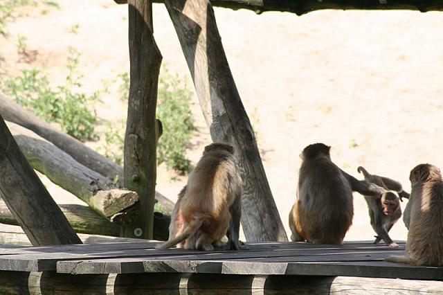 20090627 270 800x533