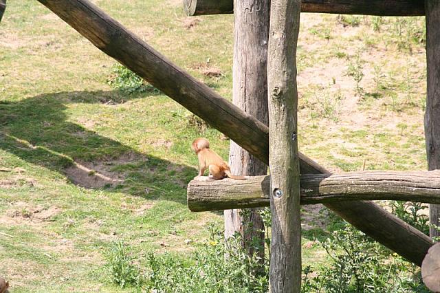 20090627 303 800x533