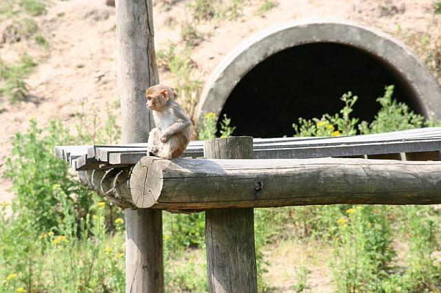20090627 316 800x533