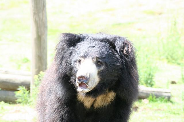 20090627 329 800x533