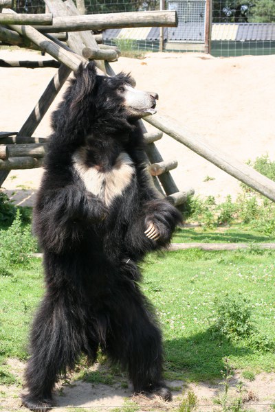20090627 334 400x600