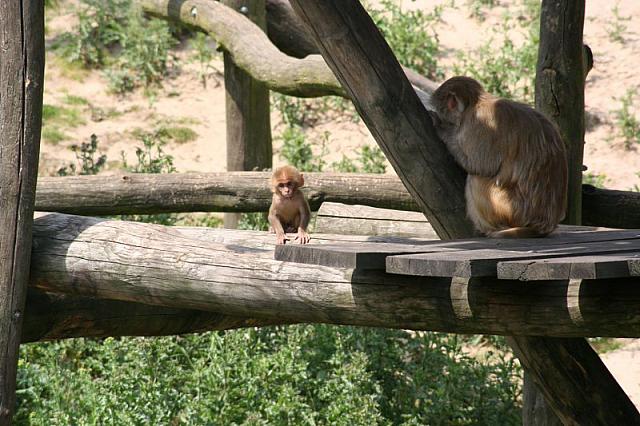 20090627 350 800x533