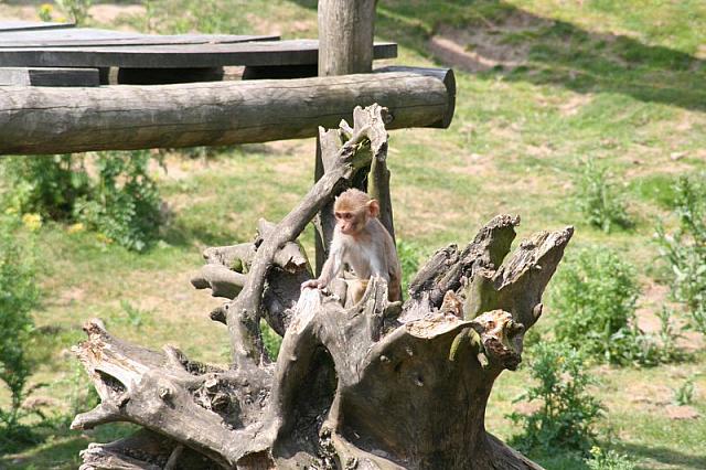 20090627 413 800x533