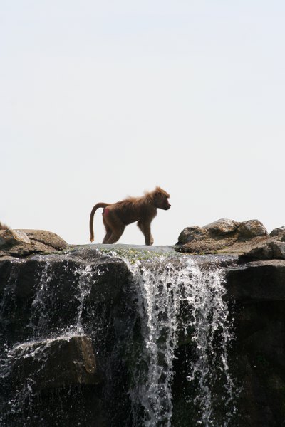 20090627 752 400x600