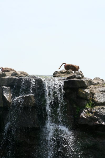 20090627 755 400x600