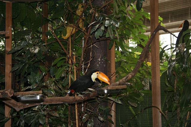 blijdorp 10-09 008 800x533