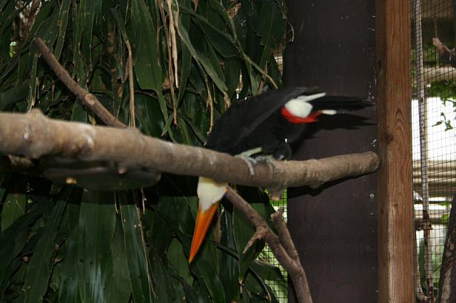blijdorp 10-09 009 800x533