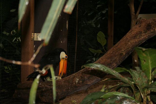 blijdorp 10-09 012 800x533