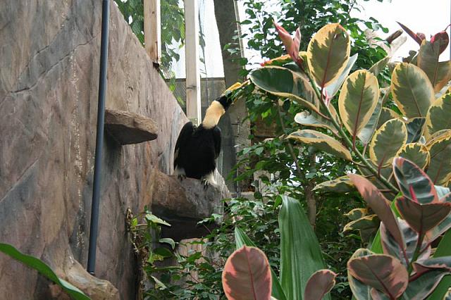 blijdorp 10-09 017 800x533