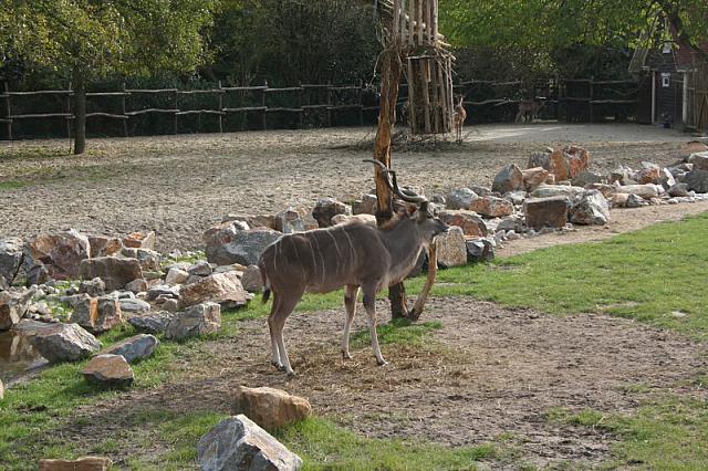 blijdorp 10-09 044 800x533