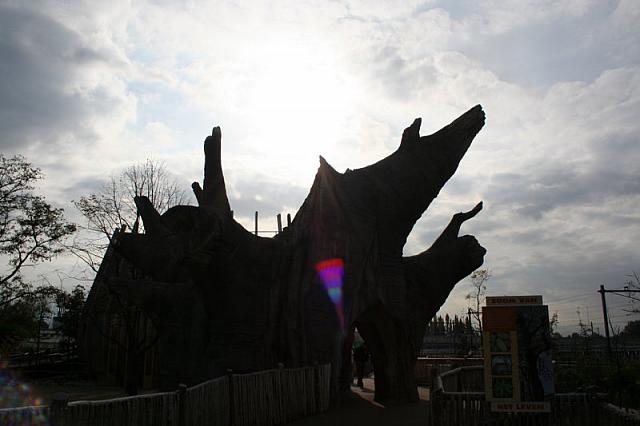 blijdorp 10-09 047 800x533
