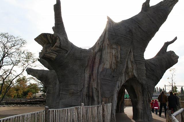 blijdorp 10-09 048 800x533
