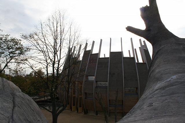 blijdorp 10-09 049 800x533