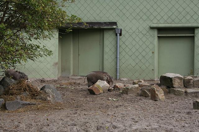 blijdorp 10-09 081 800x533