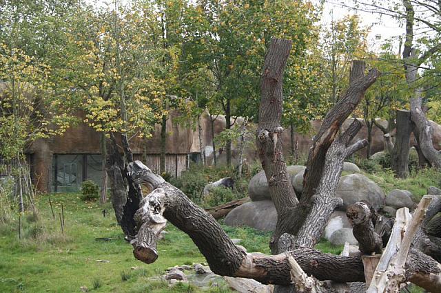 blijdorp 10-09 082 800x533